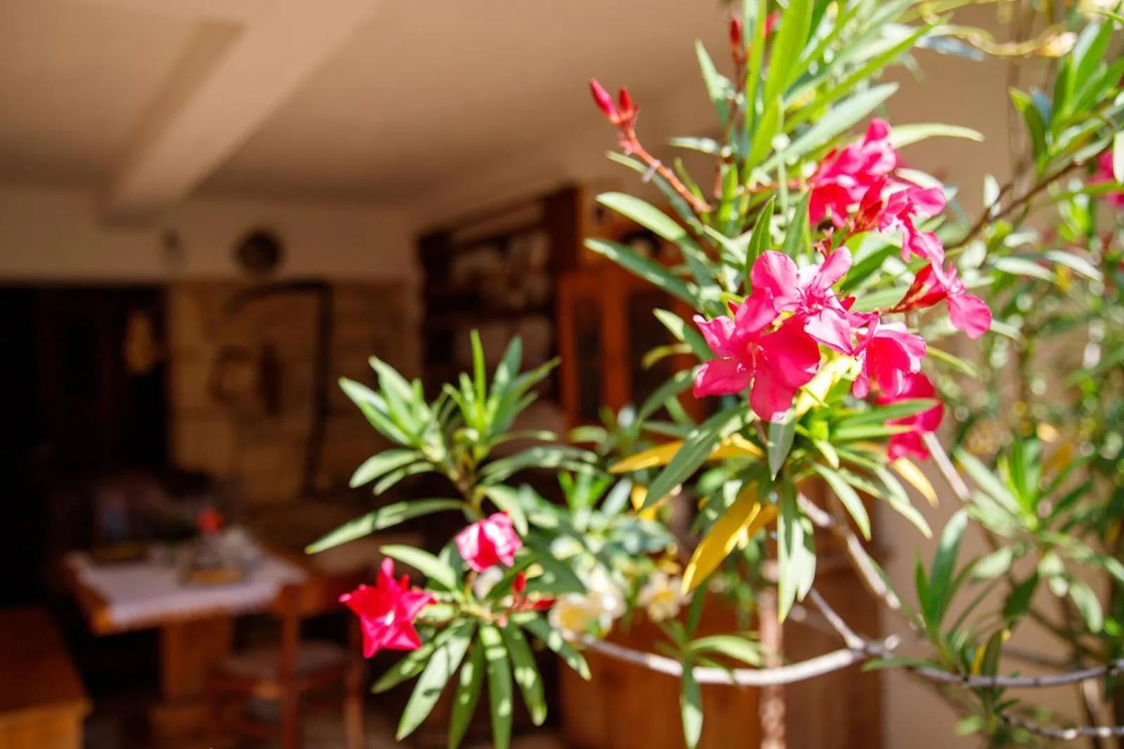 Little App - Magical Surrounding Apartment Sveti Petar u Sumi