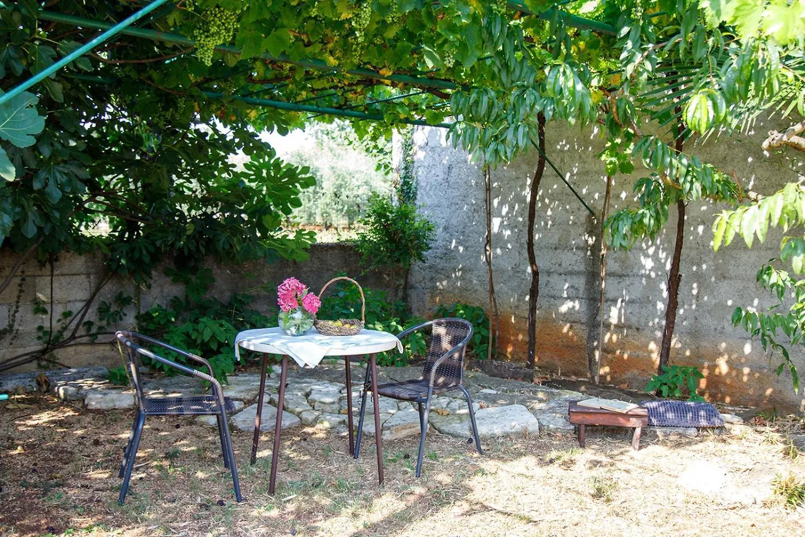 Little App - Magical Surrounding Apartman Sveti Petar u Sumi