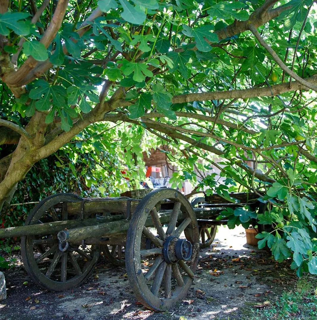 Little App - Magical Surrounding Apartment Sveti Petar u Sumi
