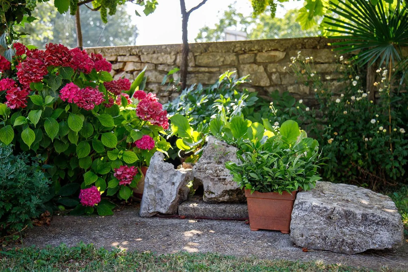 Little App - Magical Surrounding Apartment Sveti Petar u Sumi